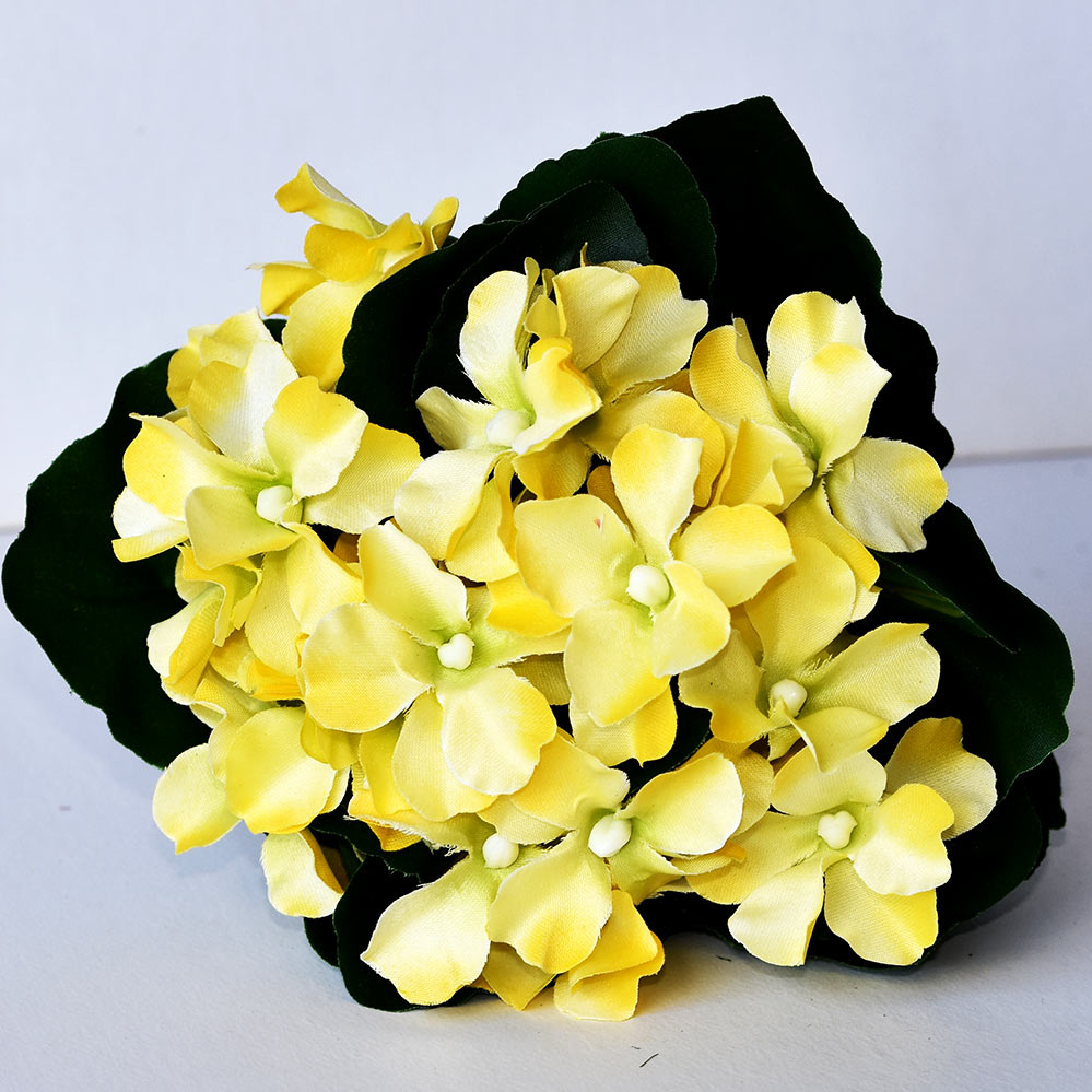 Impatiens ground brennan