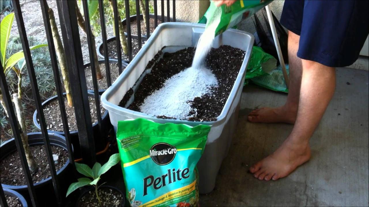 Plumeria Soil Mixture