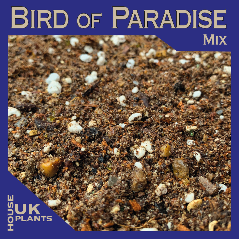 Bird Of Paradise Soil Mixture